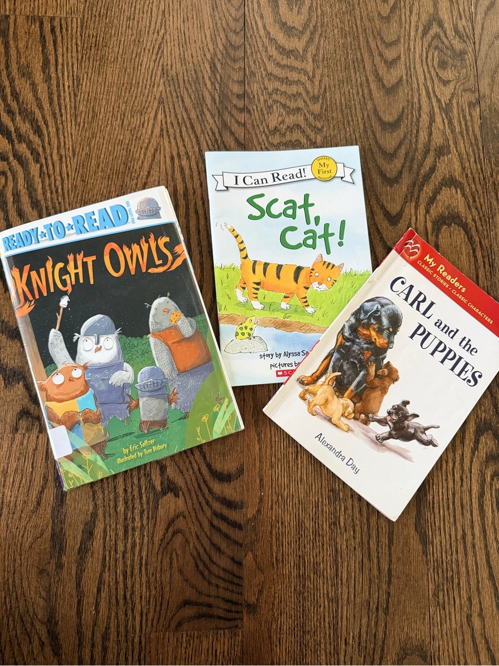 Children's Books: Knight Owls, Scat Cat, Carl and the Puppies